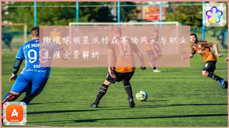 橄榄球明星沃特森赛场风采与职业生涯全景解析